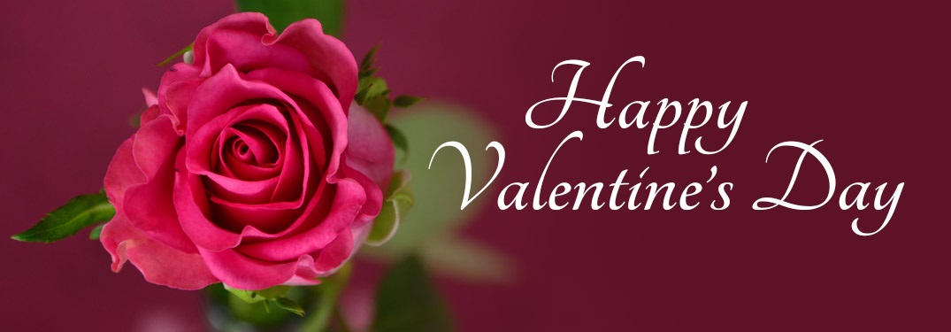 Happy Valentine's Day with a pink-colored rose to the left